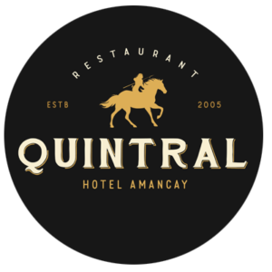 logo-quintral-interna logo-quintral-interna